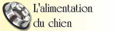Image : L'alimentation de votre chien