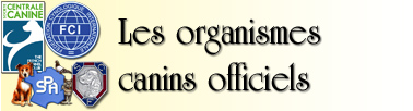 Image : Les organismes canins officiels