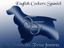 banniere du site