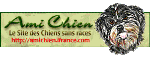 banniere du site