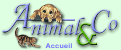 banniere du site