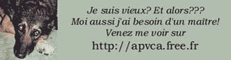 banniere du site