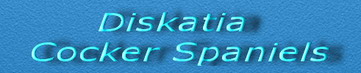 banniere du site