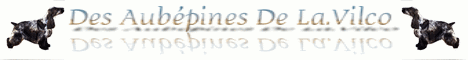 banniere du site