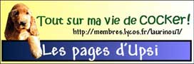 banniere du site