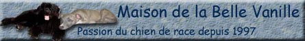 banniere du site