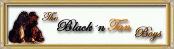 banniere du site