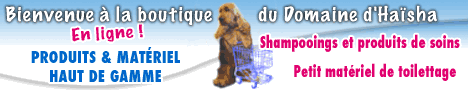 banniere du site