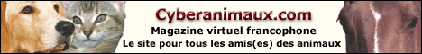 banniere du site