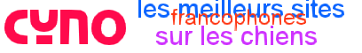banniere du site