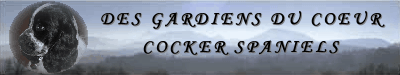 banniere du site