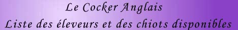 banniere du site