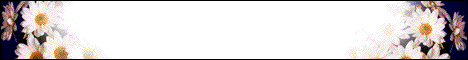 banniere du site