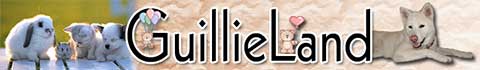banniere du site