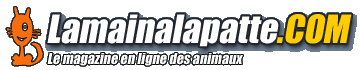 banniere du site