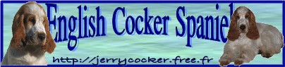banniere du site