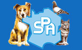 banniere du site