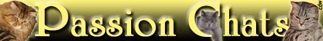 banniere du site