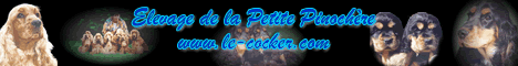 banniere du site