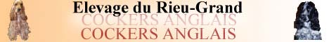 banniere du site