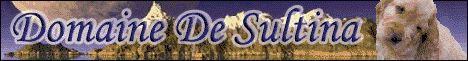 banniere du site