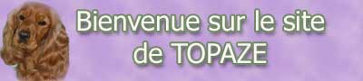 banniere du site