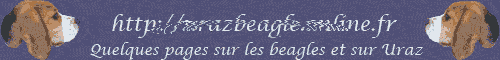banniere du site