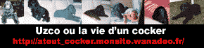 http://atoutcocker.site.voila.fr/