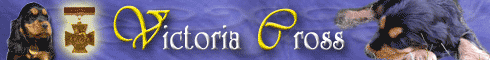 banniere du site