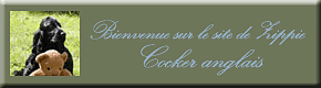 http://www.cockerzippie.com/