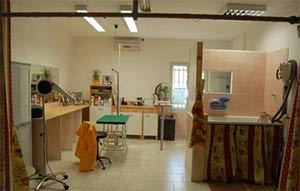 http://images.gloriette-artemis.net/newsimg/salonN090606.jpg