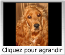 azf486-223sm.jpg?size=1234?info=14243868