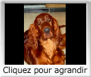 azf486-598sm.jpg?size=1234?info=14243868