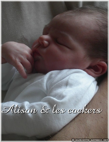 Titre