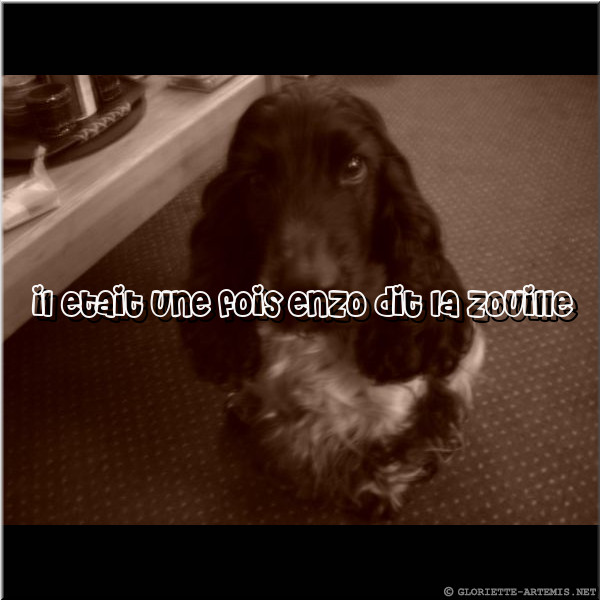 Titre