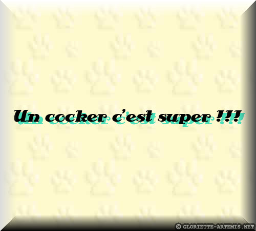 Titre