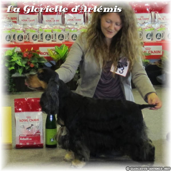 Titre
