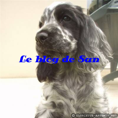 Titre