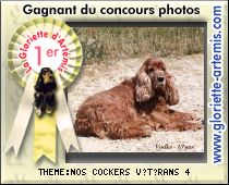 Photo du dernier gagnant