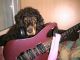 Sara, fan de musique !