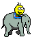 :avanceelephant: