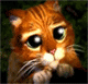 :lechat: